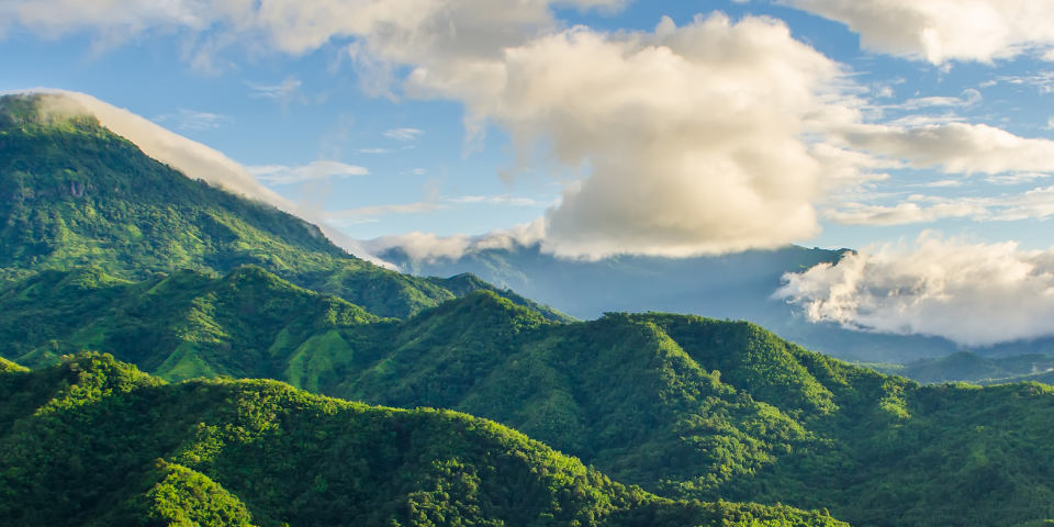 A beautiful landscape